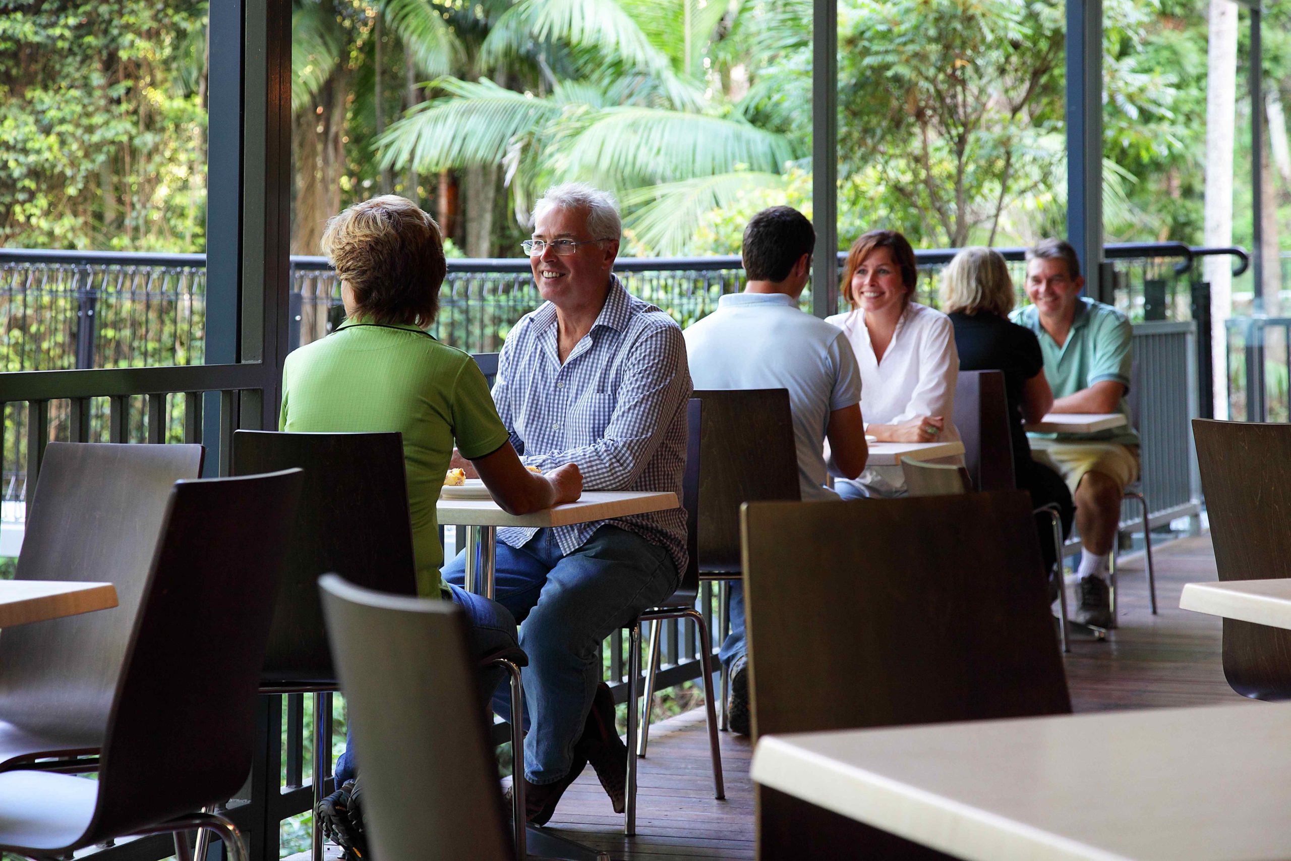 Tamborine Mountain Skywalk + Hop on Hop Off - Tourist Shuttle