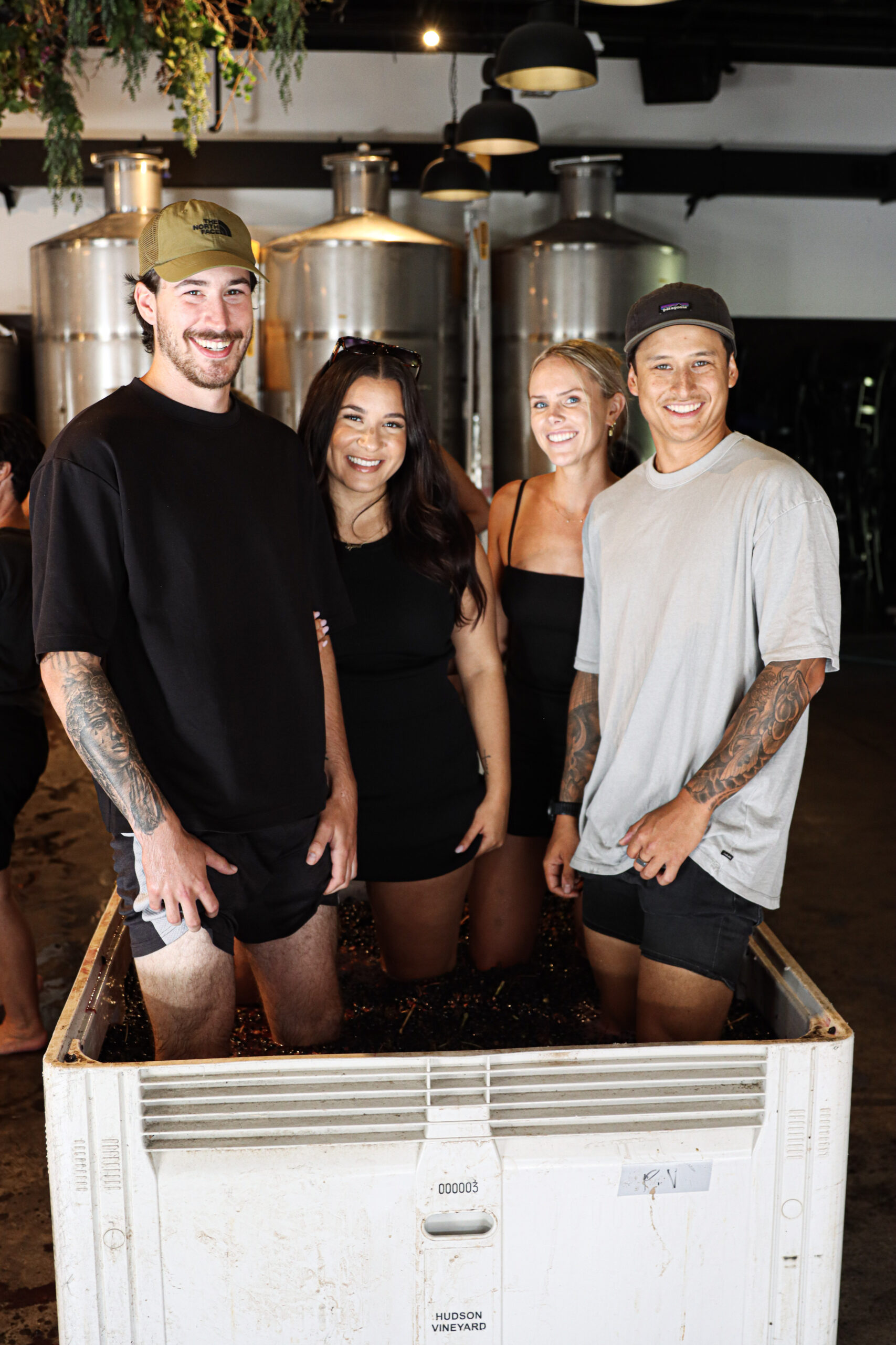 Harvest Grape Stomping