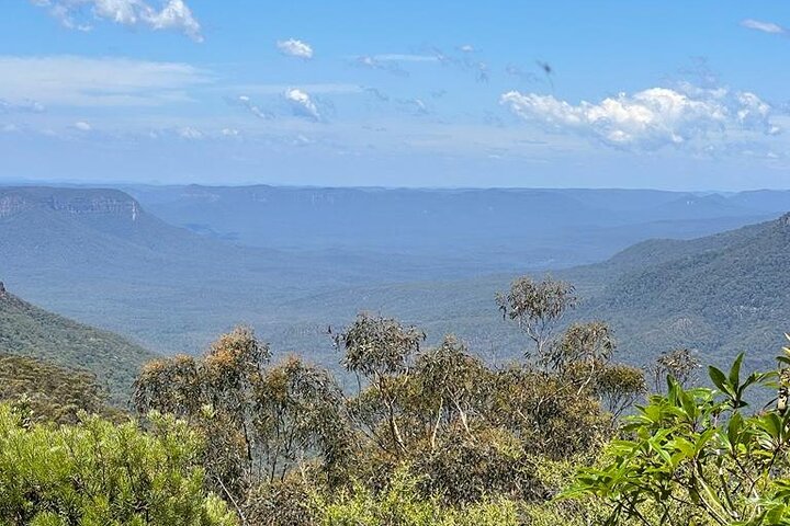 From Sydney: Blue Mountains & Featherdale - Day Tour