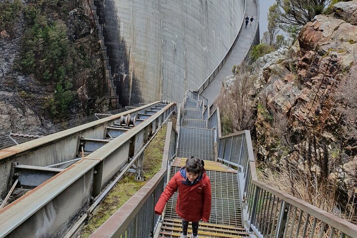 From Sydney: Blue Mountains & Featherdale - Day Tour