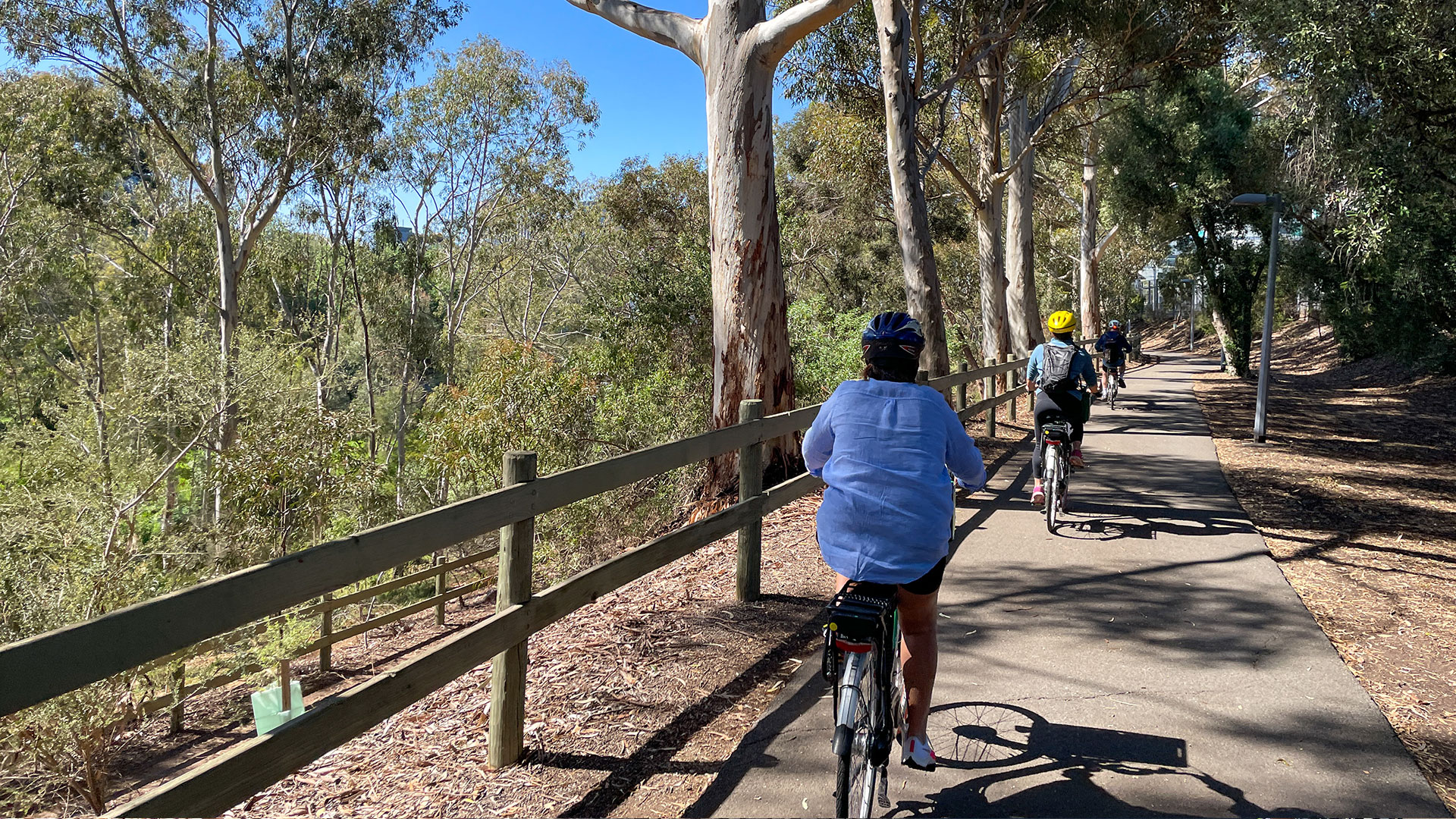 eBike Tour: Adelaide Riverbank and Park Lands