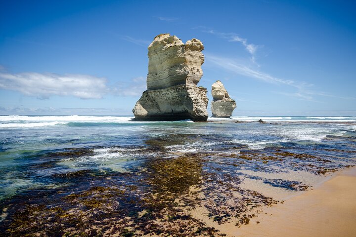12 Apostles Great Ocean Road Eco Tour with lunch from Melbourne