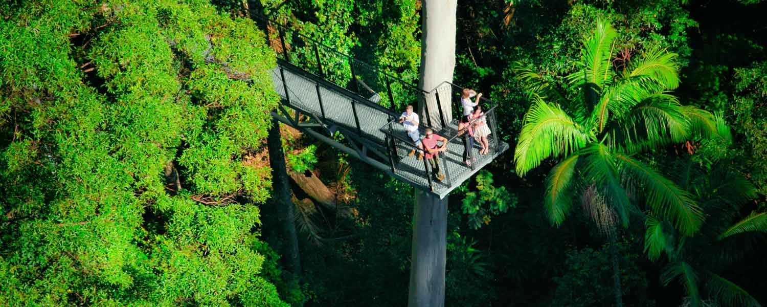 Tamborine Mountain Skywalk + Hop on Hop Off - Tourist Shuttle