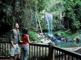 Tamborine Mountain Skywalk + Hop on Hop Off - Tourist Shuttle