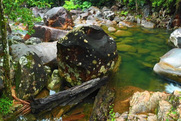 Platypus & Waterfalls