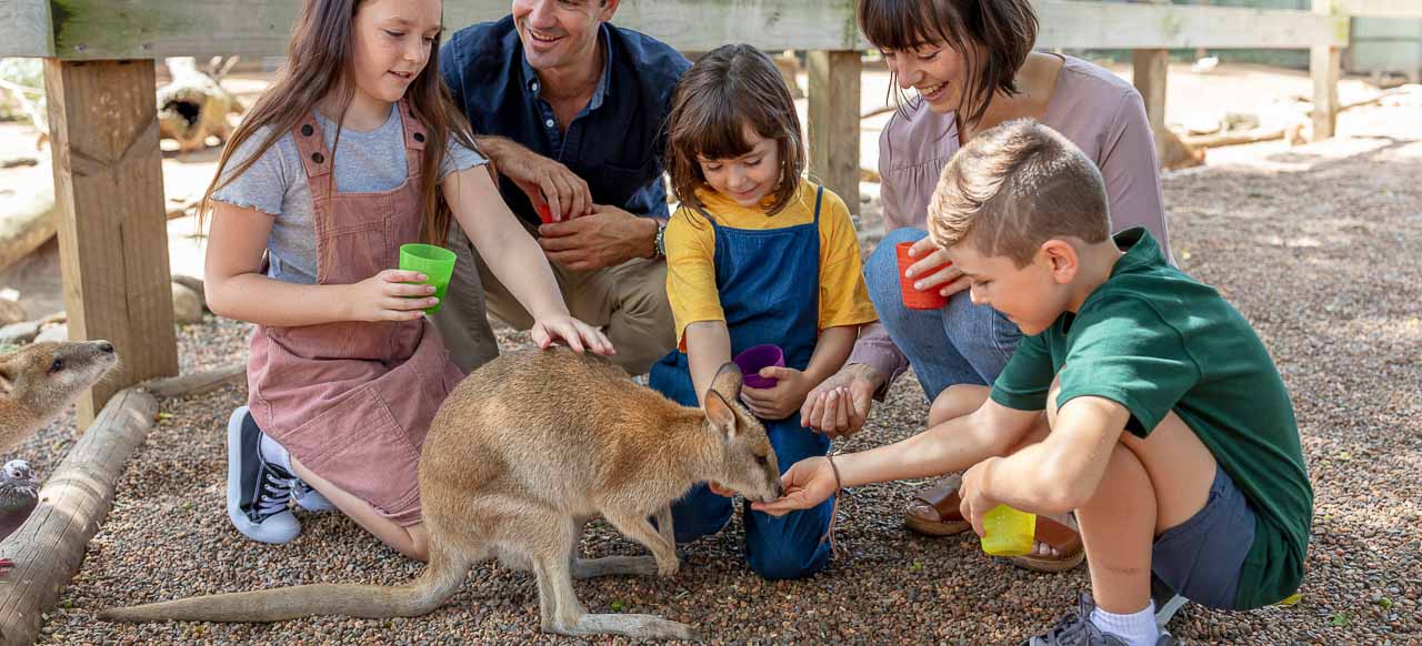 Private Blue Mountains Tour