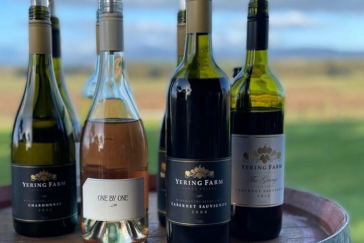 Yarra Valley Afternoon Wine, Chocolates, Cheese & Kangaroos Tour