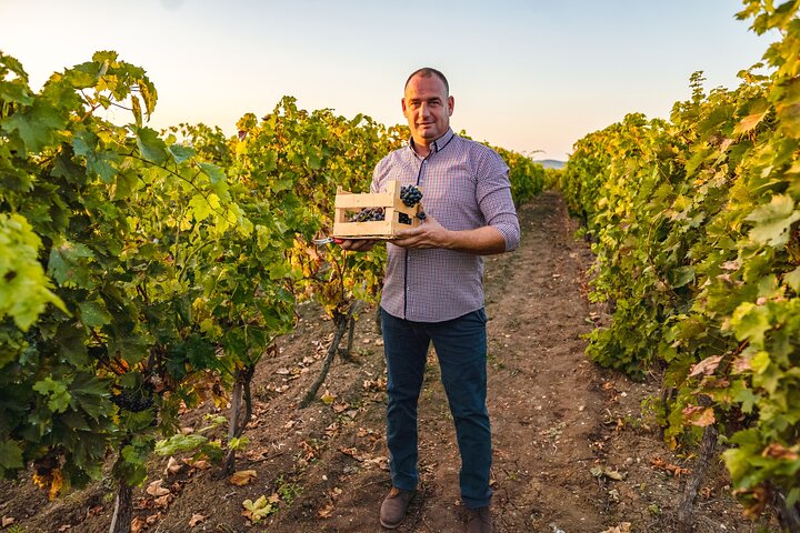 Sip and Savor: Private Yarra Valley Wine Tour from Melbourne