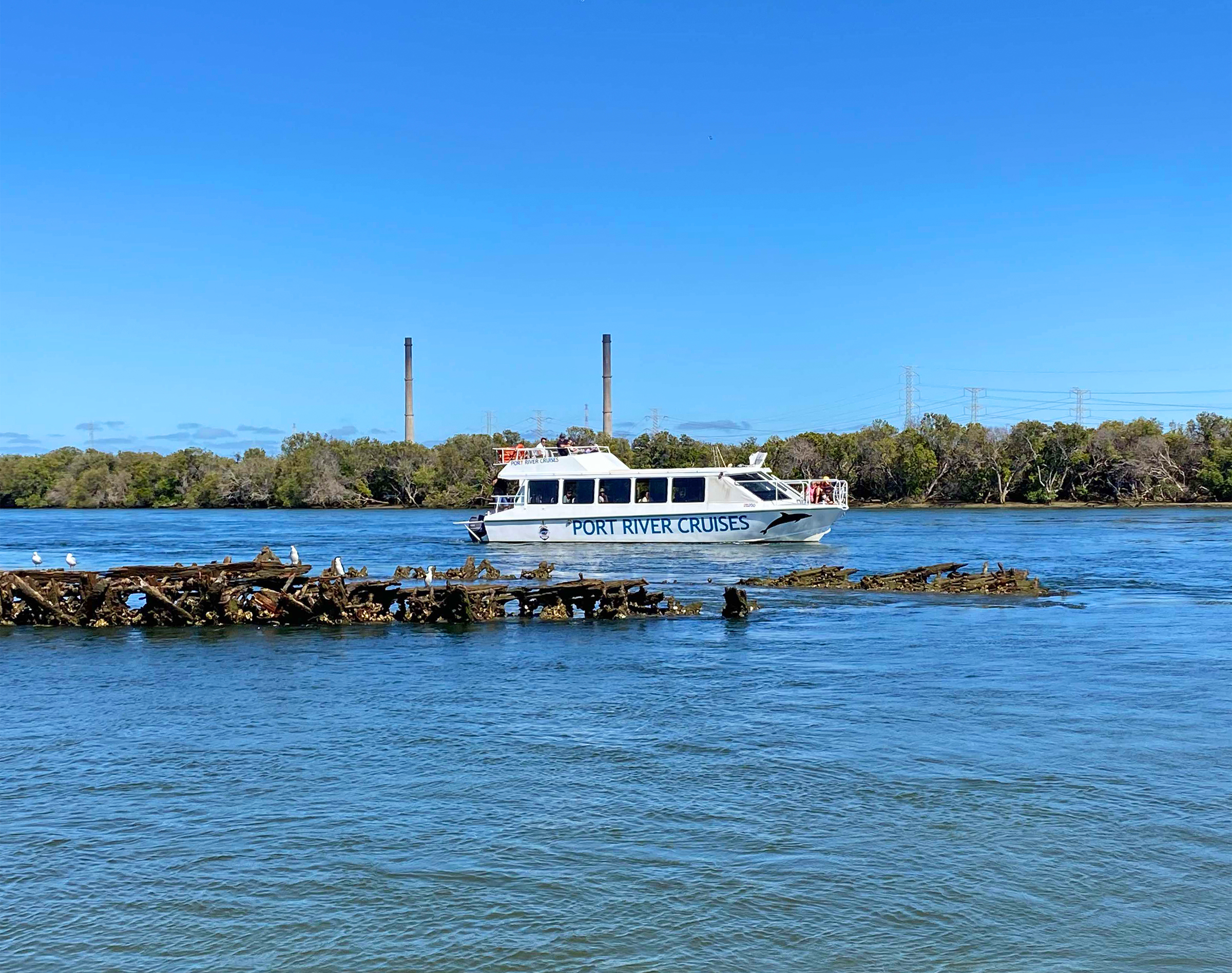 PRIVATE TOUR – 90-minute Dolphins and Ships Graveyard Tour