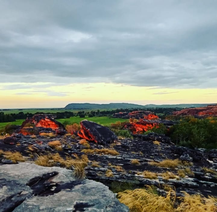 1 day Kakadu. Yellow Water. Nourlangie. Ubirr.