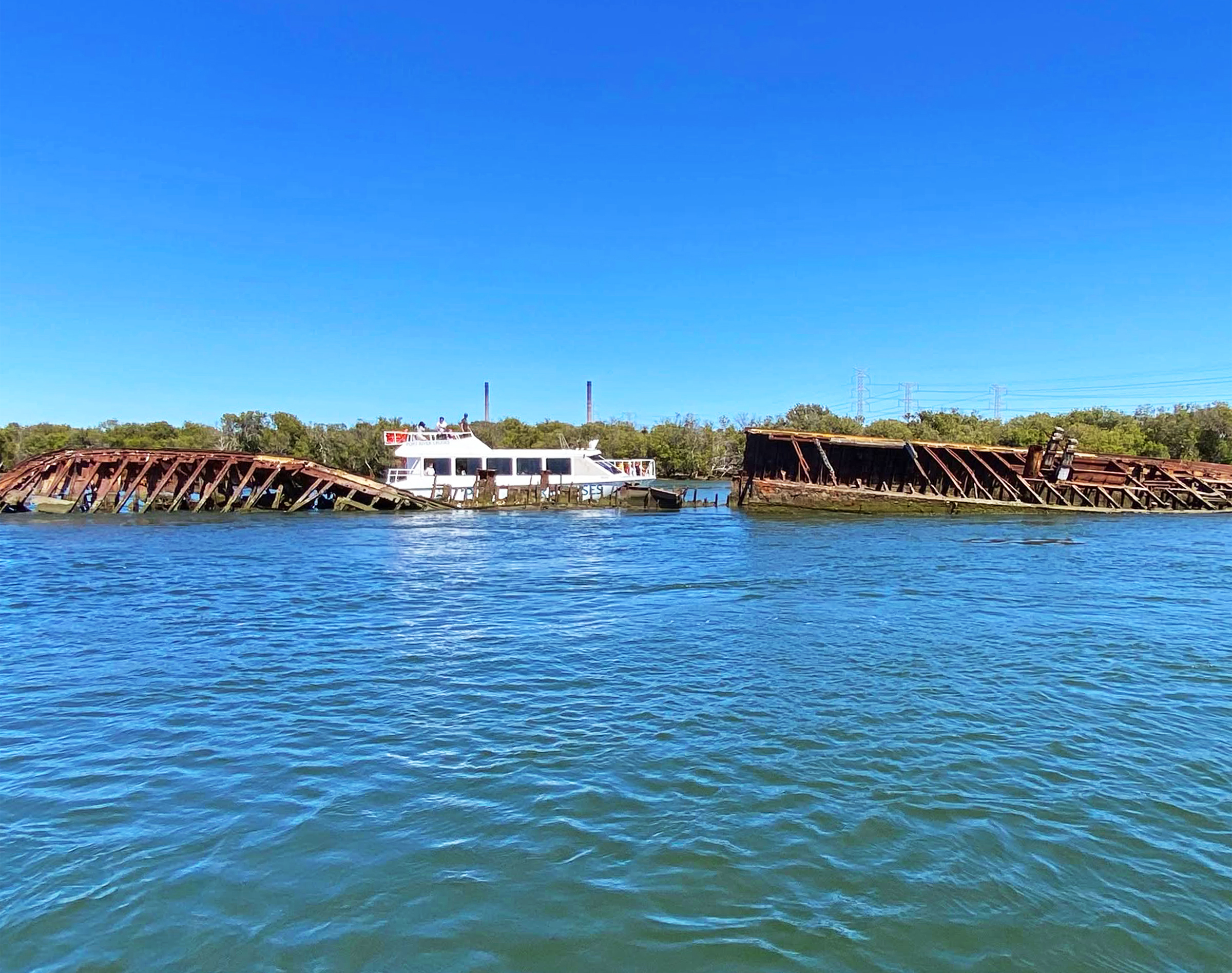 PRIVATE TOUR - 90-minute Dolphins and Ships Graveyard Tour