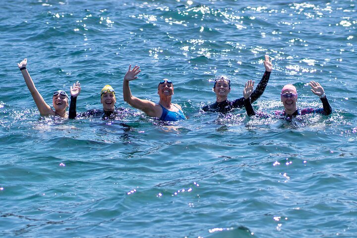 Swim with the Queen of the English Channel in New South Wales