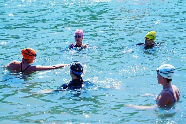 Swim with the Queen of the English Channel in New South Wales