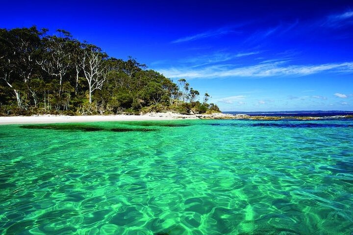 2 Days Private Adventure Tour From Sydney to South Coast