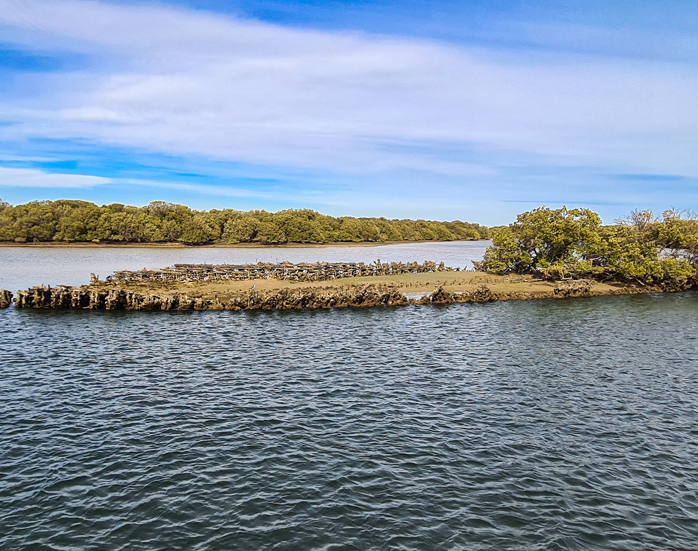PRIVATE TOUR - 90-minute Dolphins and Ships Graveyard Tour