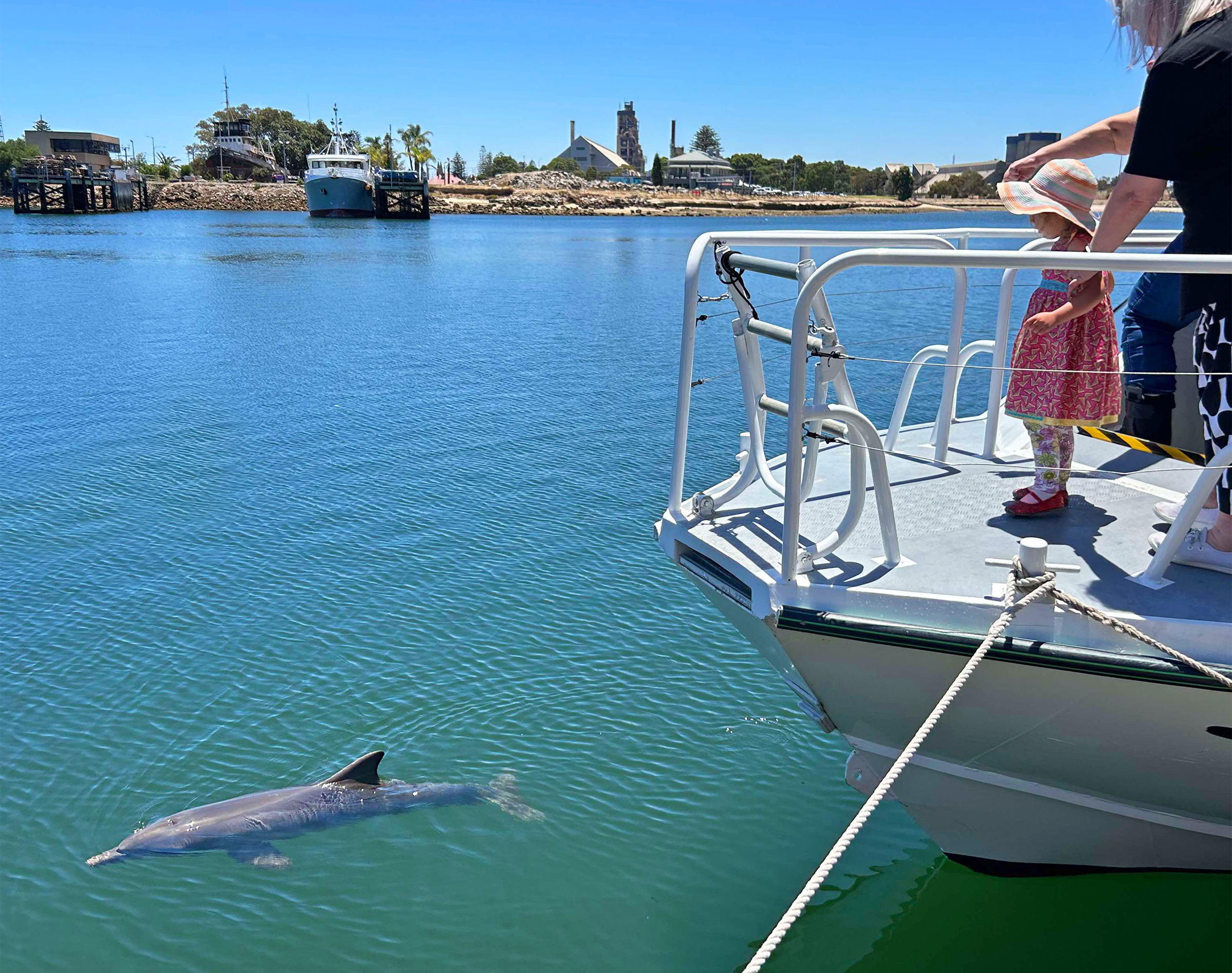 PRIVATE TOUR - 90-minute Dolphins and Ships Graveyard Tour