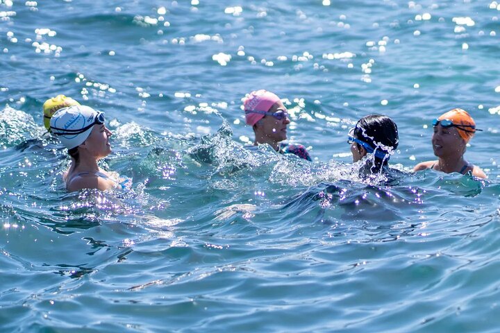 Swim with the Queen of the English Channel in New South Wales