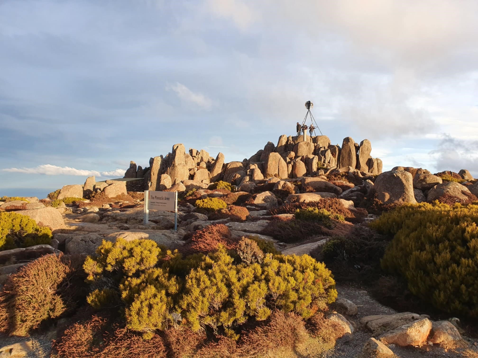 Mount Wellington Afternoon Small Group Driving Tour