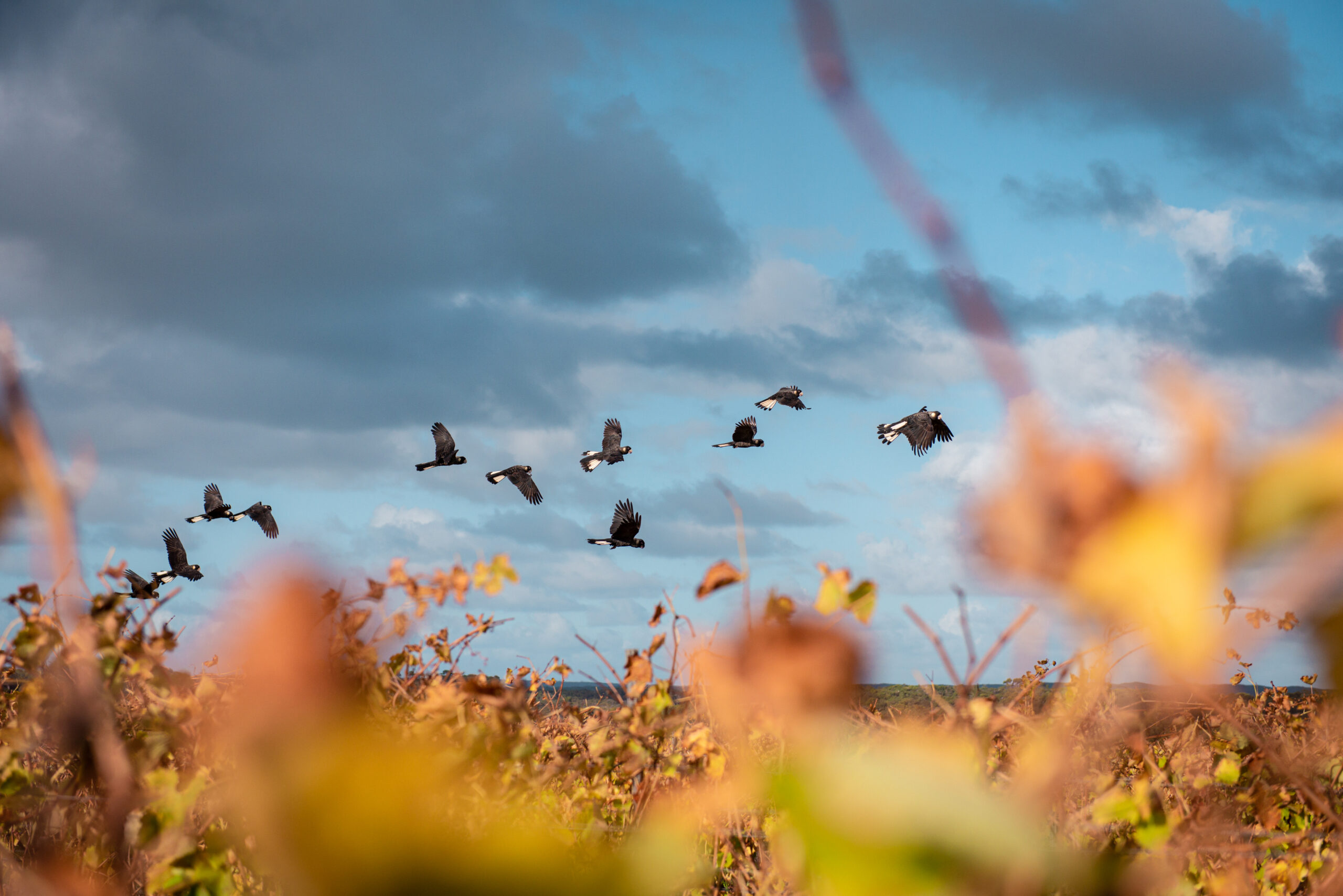 Private Bespoke Tour of Margaret River