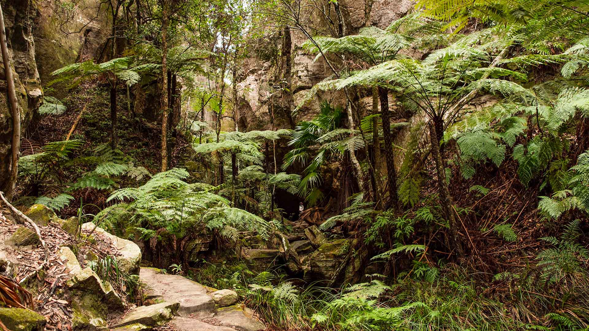 Hike Secret Carnarvons