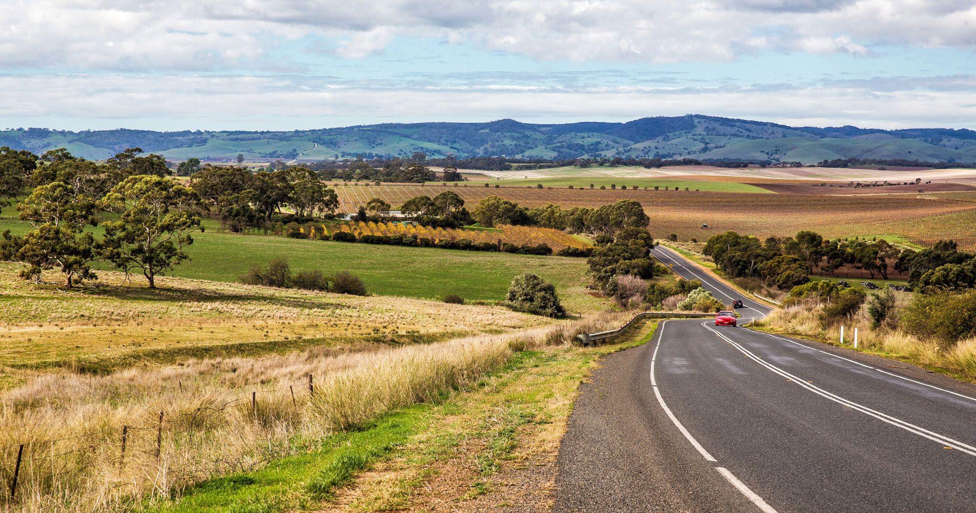 Barossa Valley Wine Tour