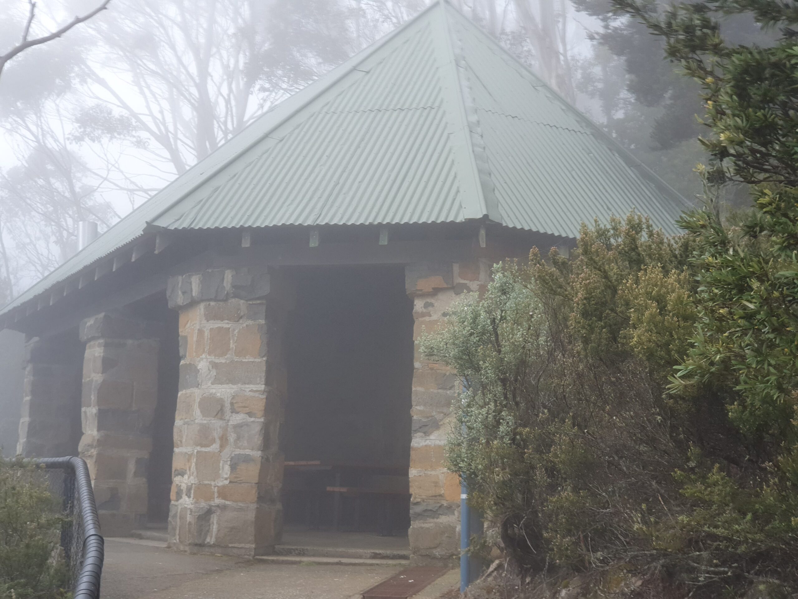 Mount Wellington Beyond a Passing Glance Small Group Tour