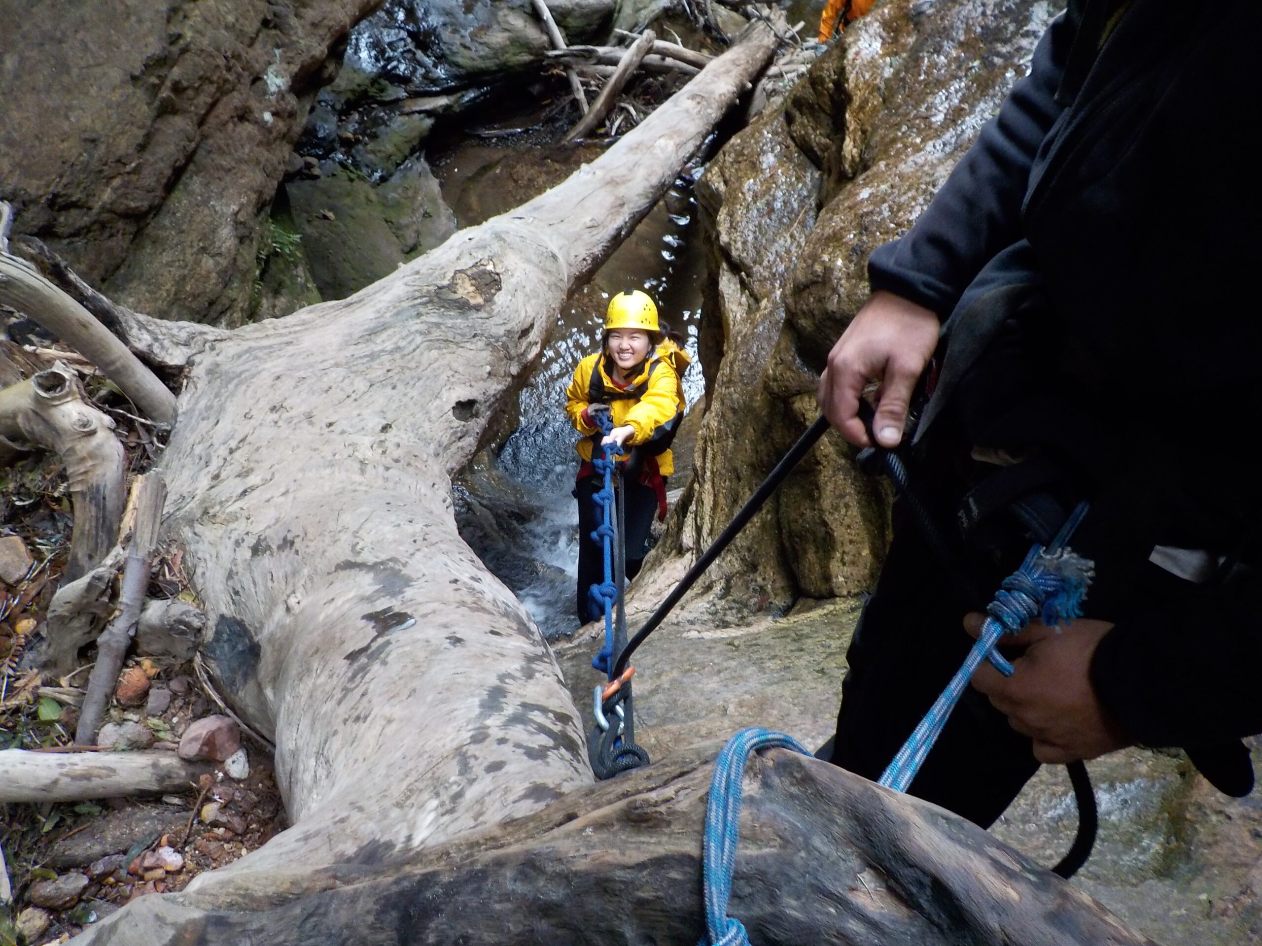 Whungee Whengee Canyon - Blue Mountains