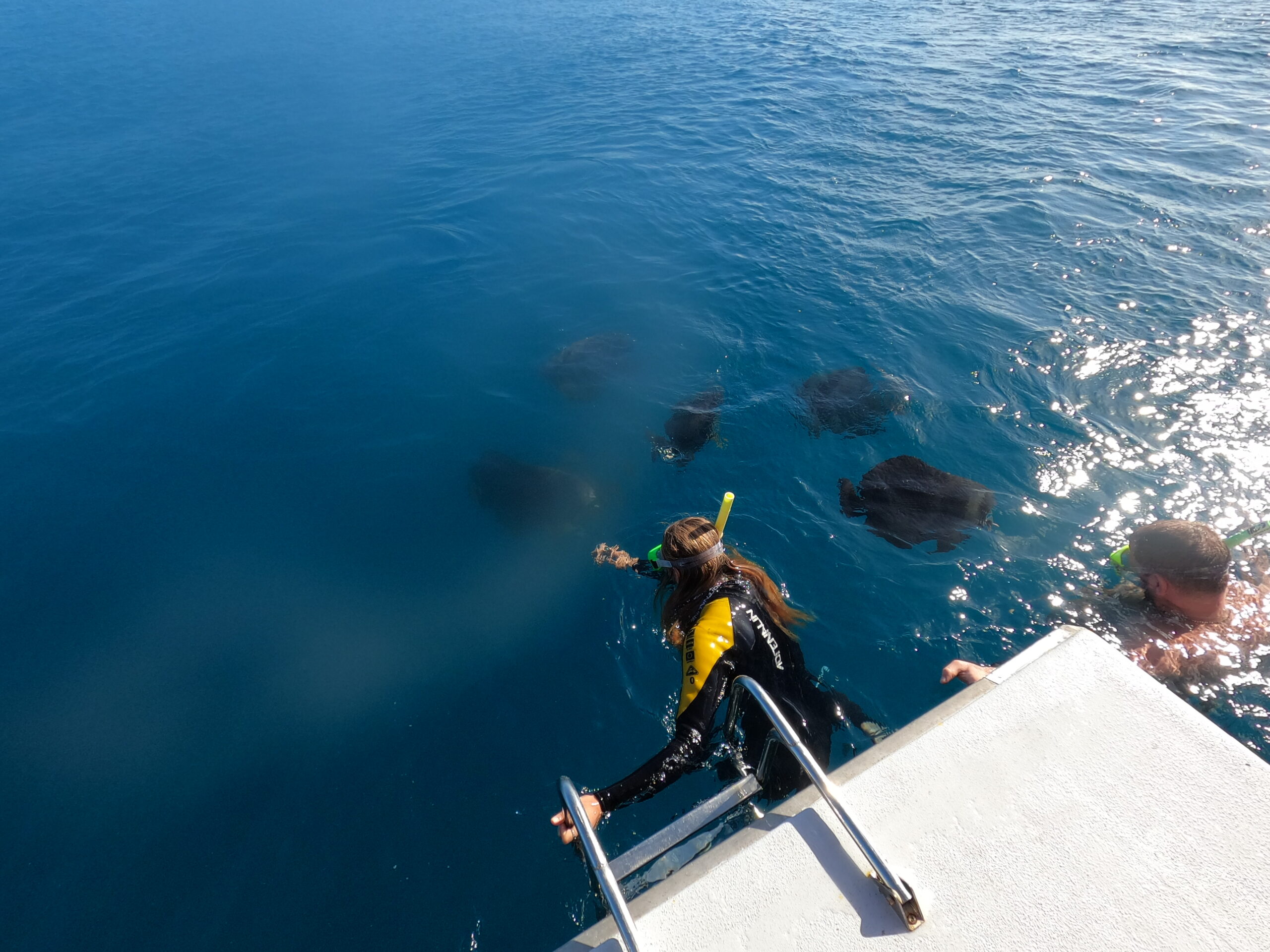 A Whitsunday Islands Sail, SUP & Snorkel Day Tour- Premium NEWEST Whitsundays Day Tour!