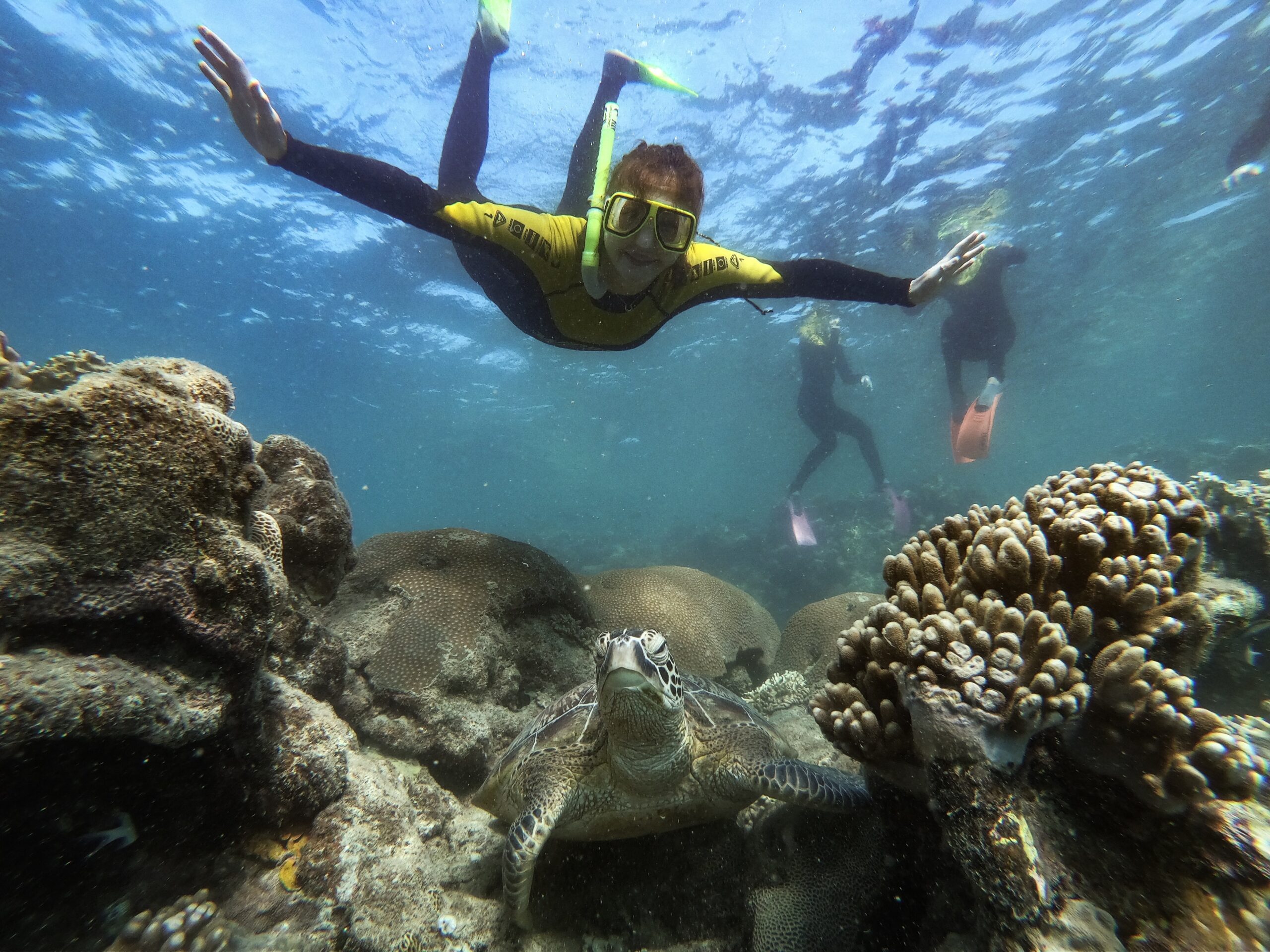 A Whitsunday Islands Sail, SUP & Snorkel Day Tour- Premium NEWEST Whitsundays Day Tour!