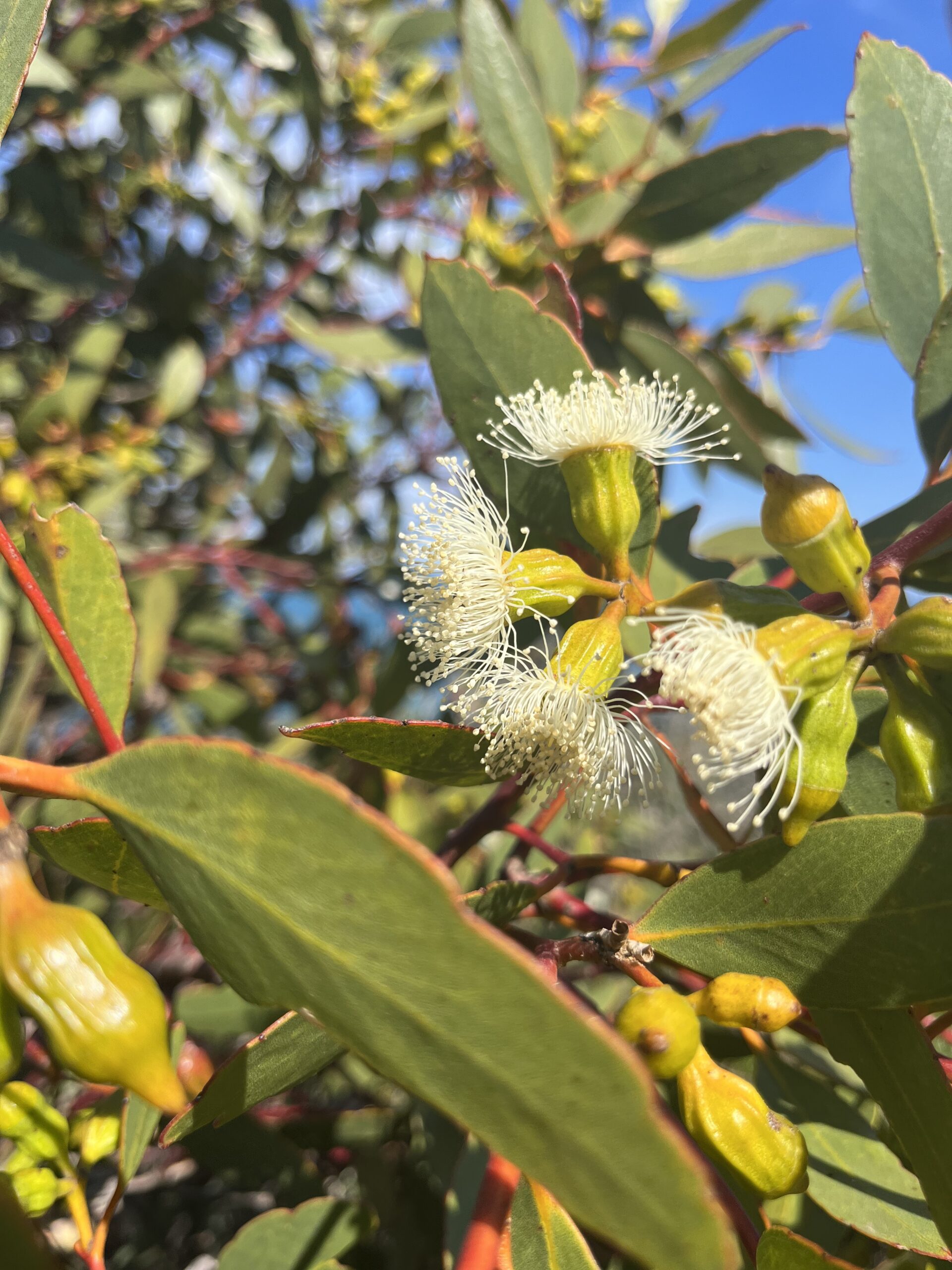 Fleurieu Retreat