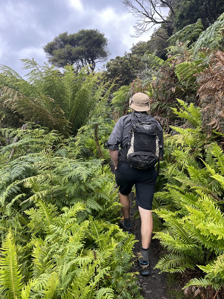 Your local Tasmanian private guiding services.