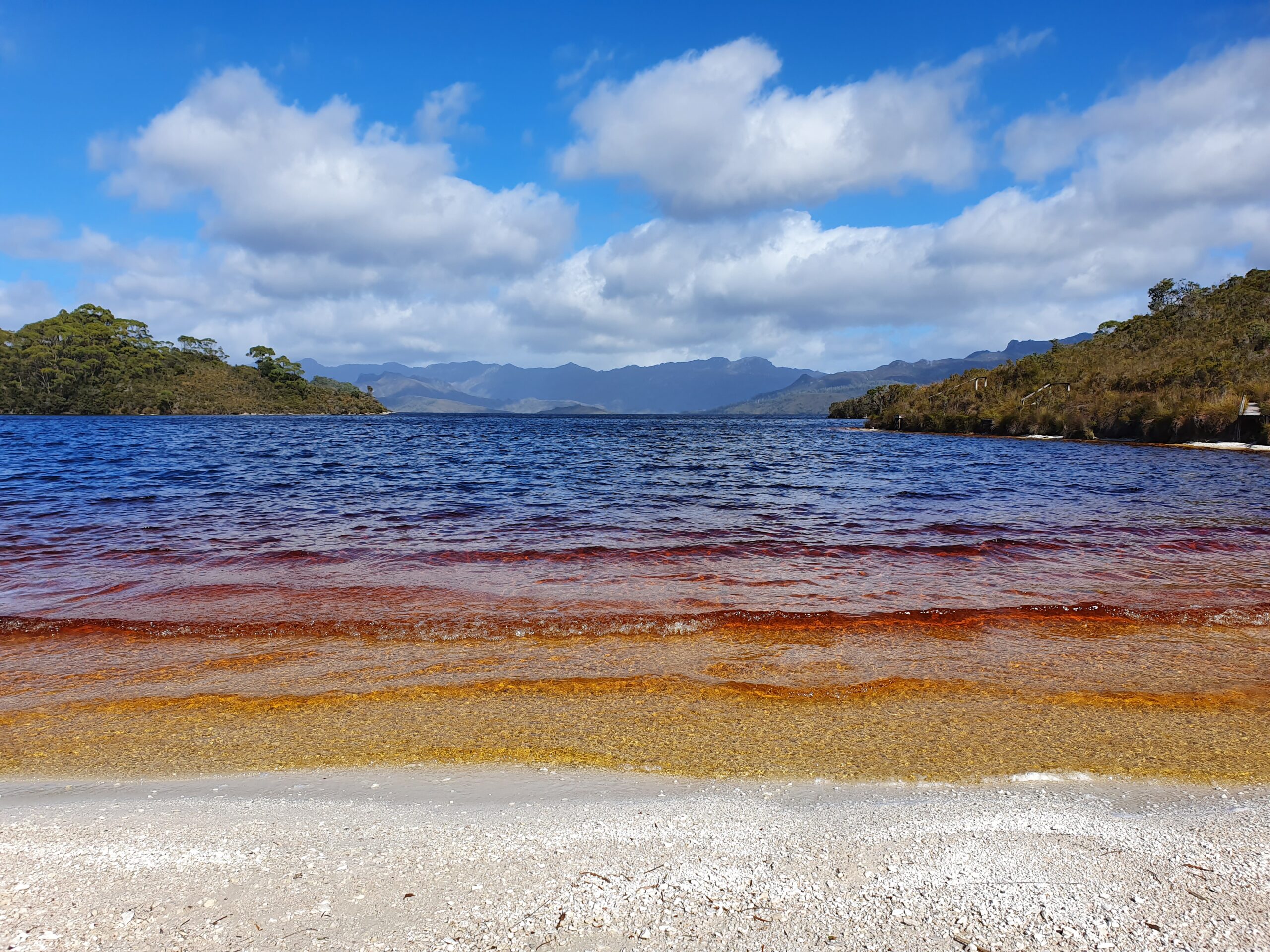 Lake Pedder Wilderness and Gordon Dam Small Group Tour