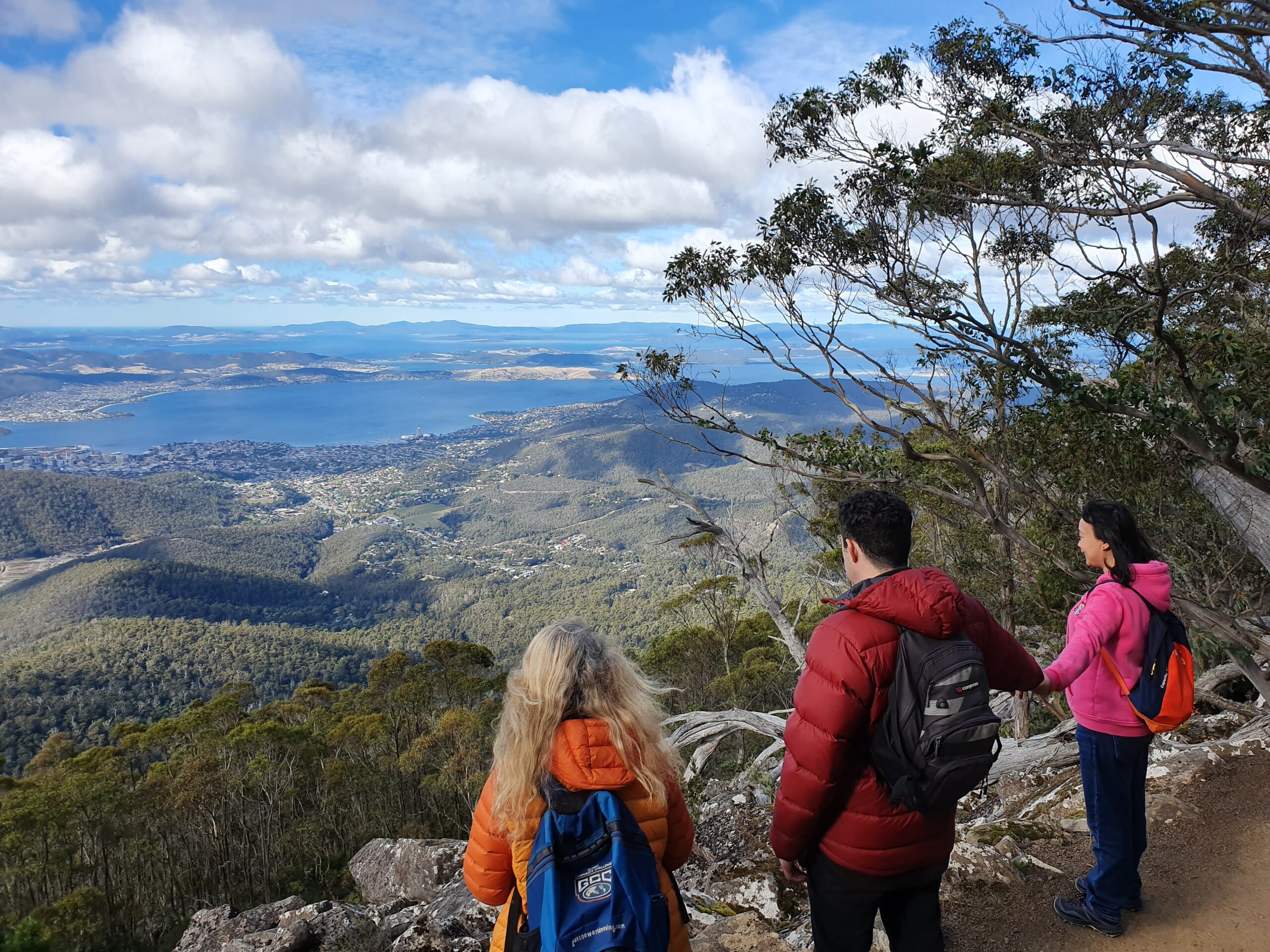 4-Hour Mount Wellington Arrival Tour with Organ Pipes Walk