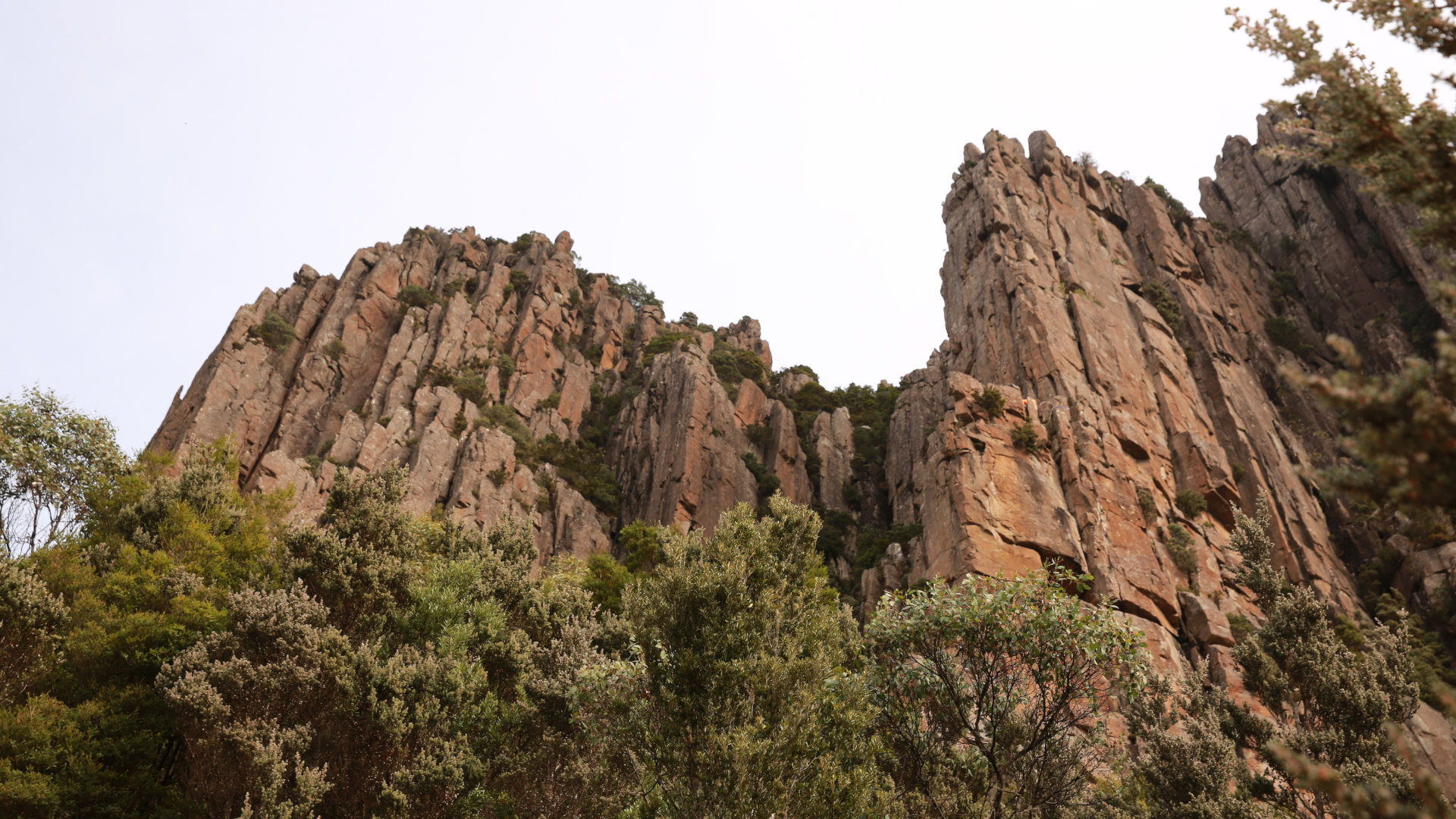 From Hobart: Mount Wellington Morning Walking Tour