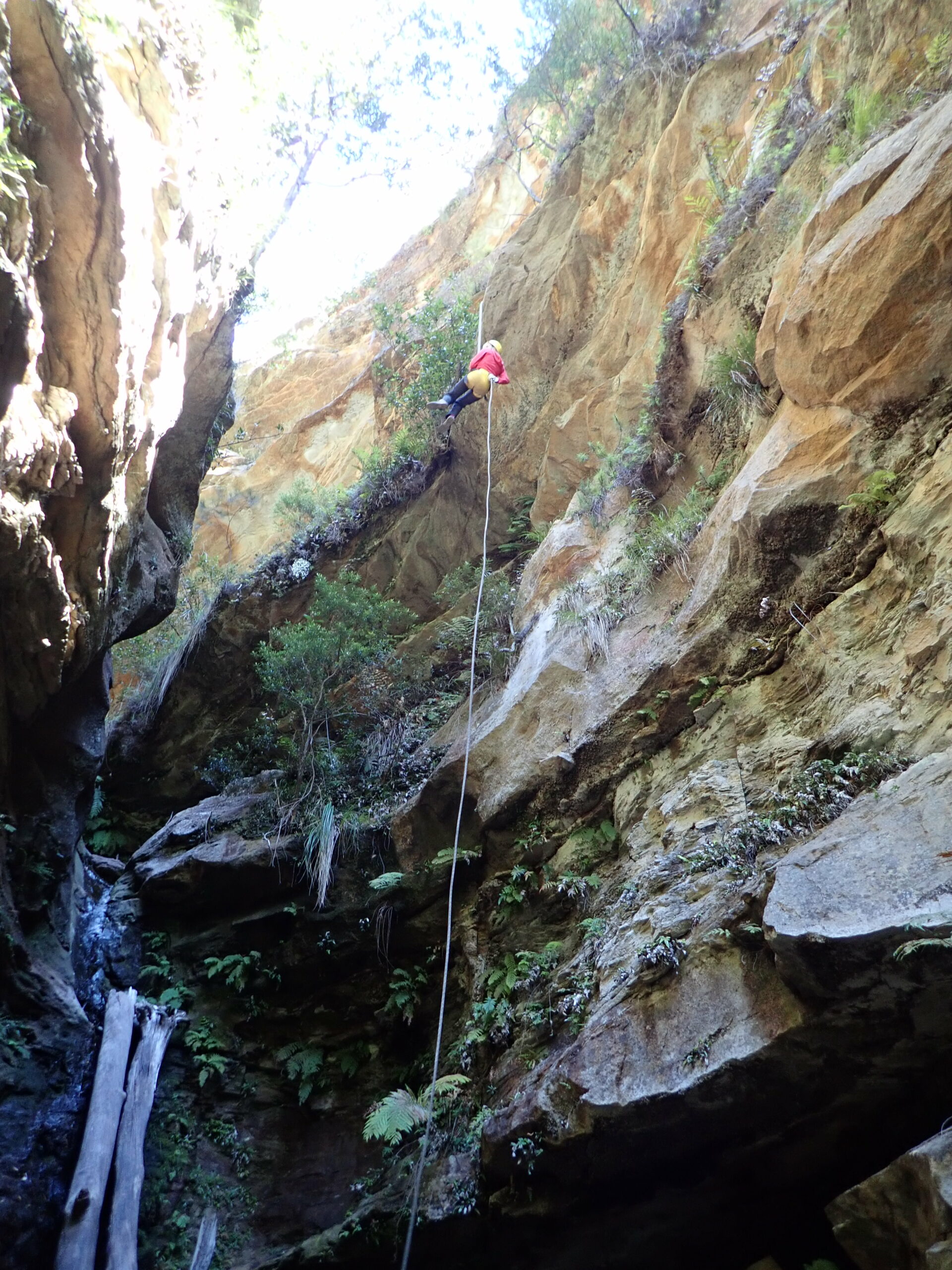 Whungee Whengee Canyon - Blue Mountains