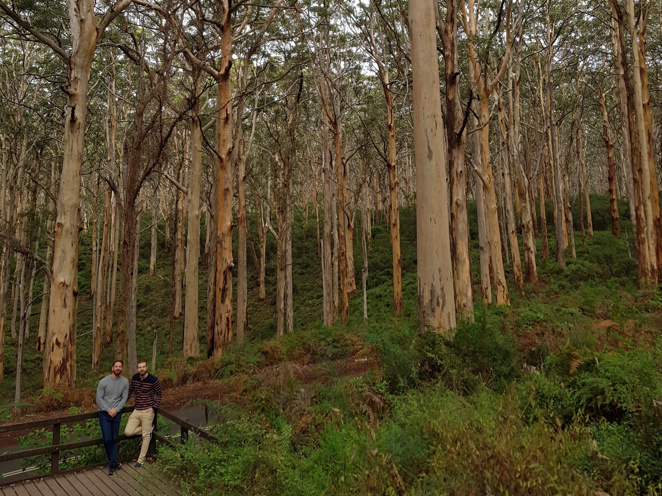 Private Bespoke Tour of Margaret River