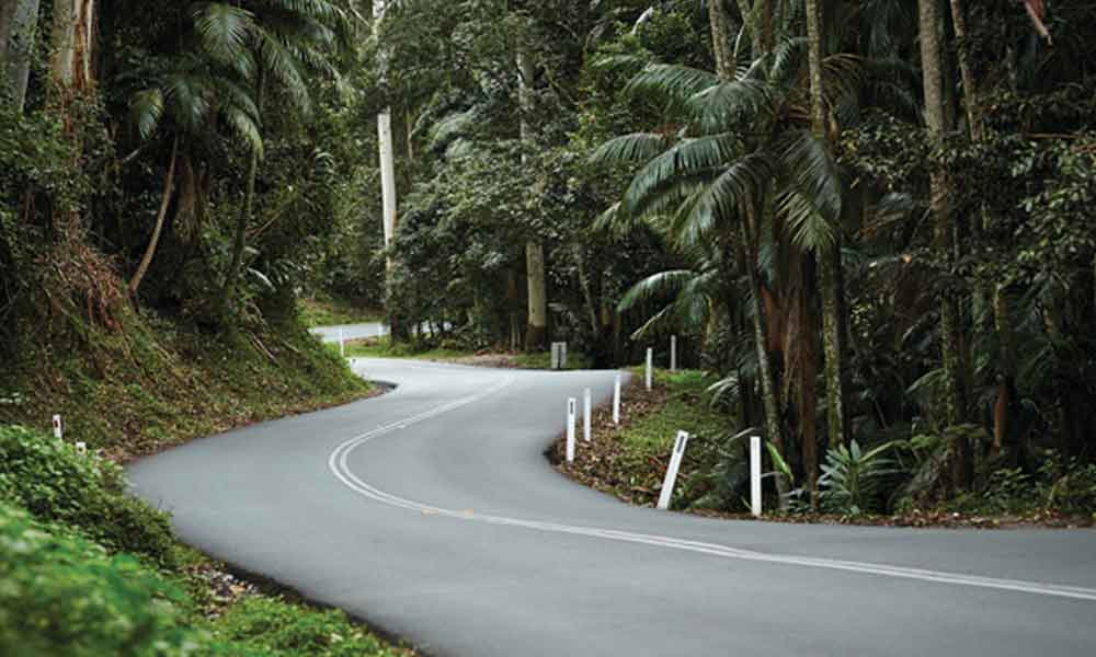 Full Day Mount Tamborine Winery Tour - Brisbane or Gold Coast Pickup