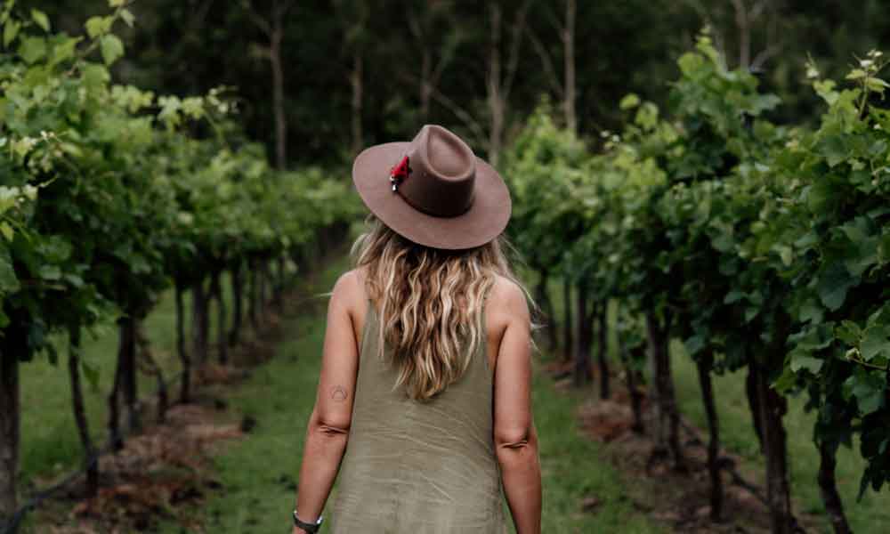 Full Day Mount Tamborine Winery Tour - Brisbane or Gold Coast Pickup