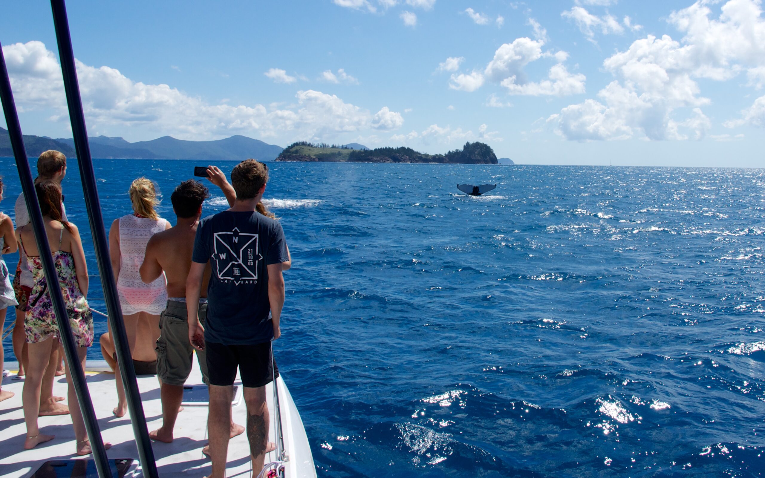 A Whitsunday Islands Sail, SUP & Snorkel Day Tour- Premium NEWEST Whitsundays Day Tour!