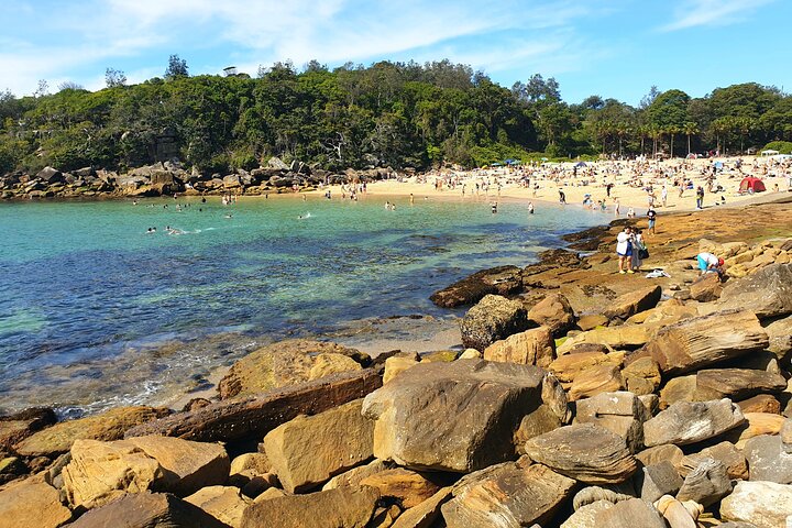 Swim with the Queen of the English Channel in New South Wales