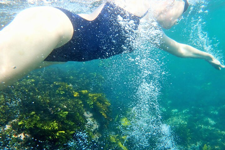 Swim with the Queen of the English Channel in New South Wales