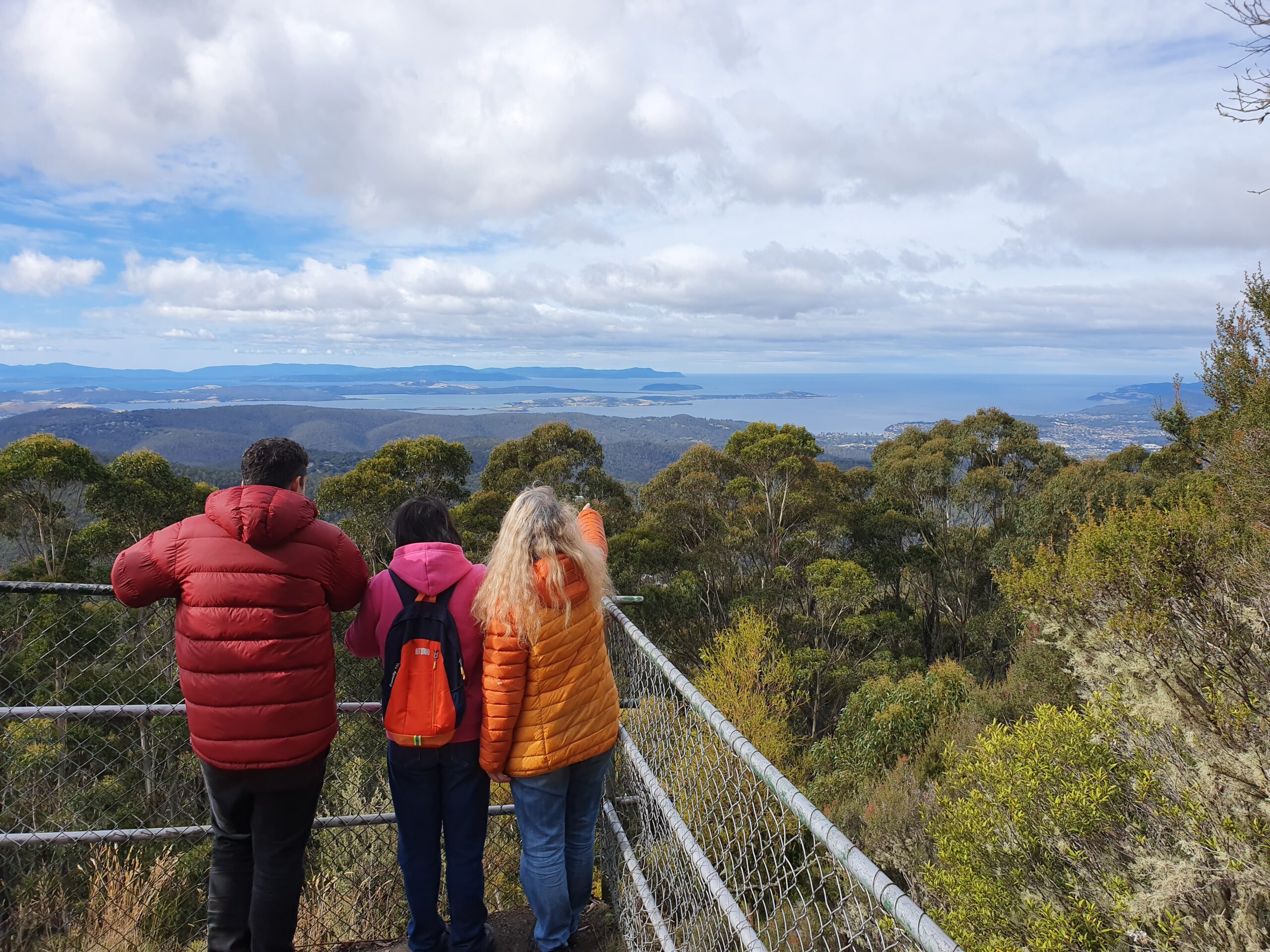 Mount Wellington Beyond a Passing Glance Small Group Tour