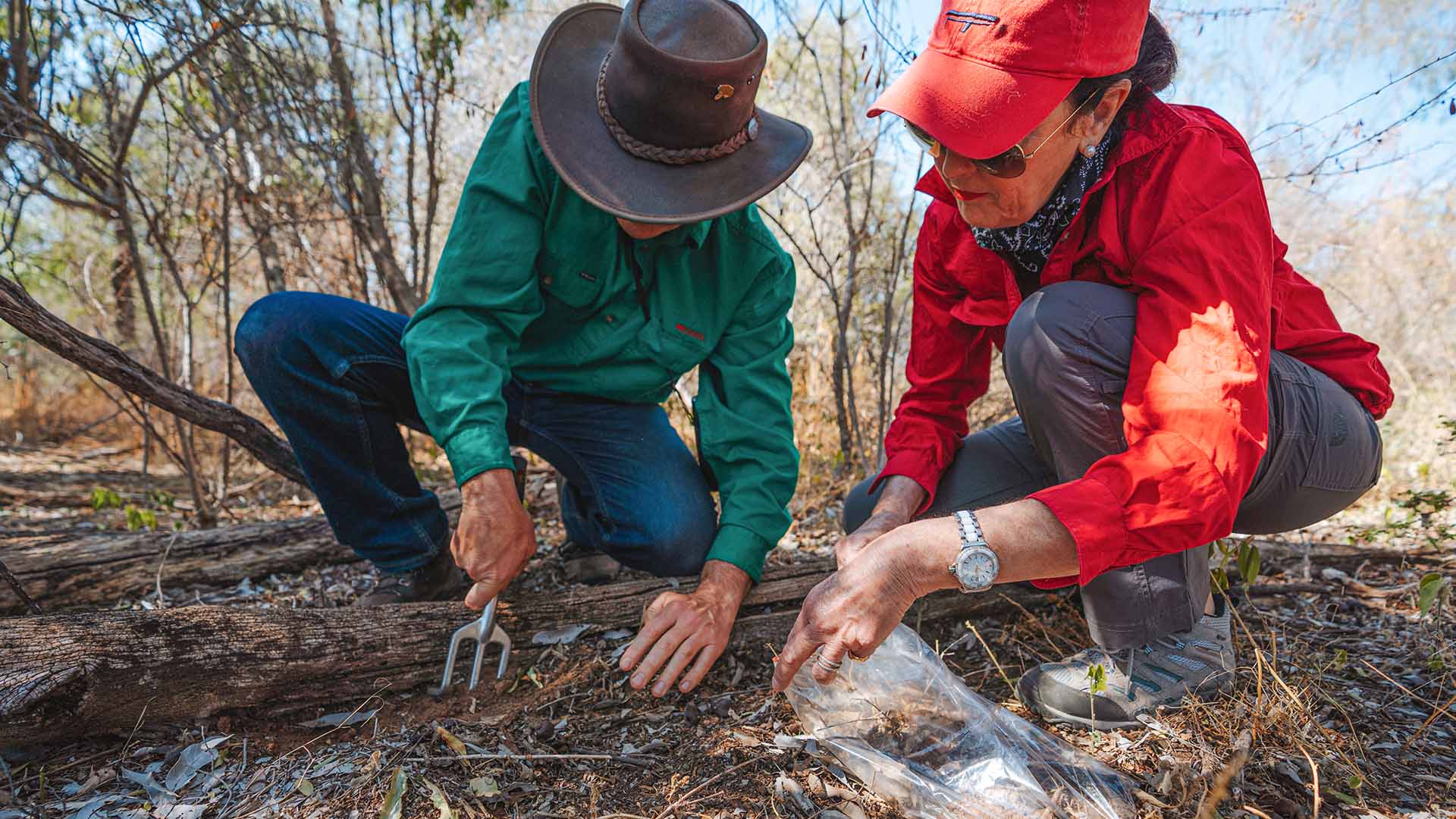 Carnarvons BioBlitz Expedition