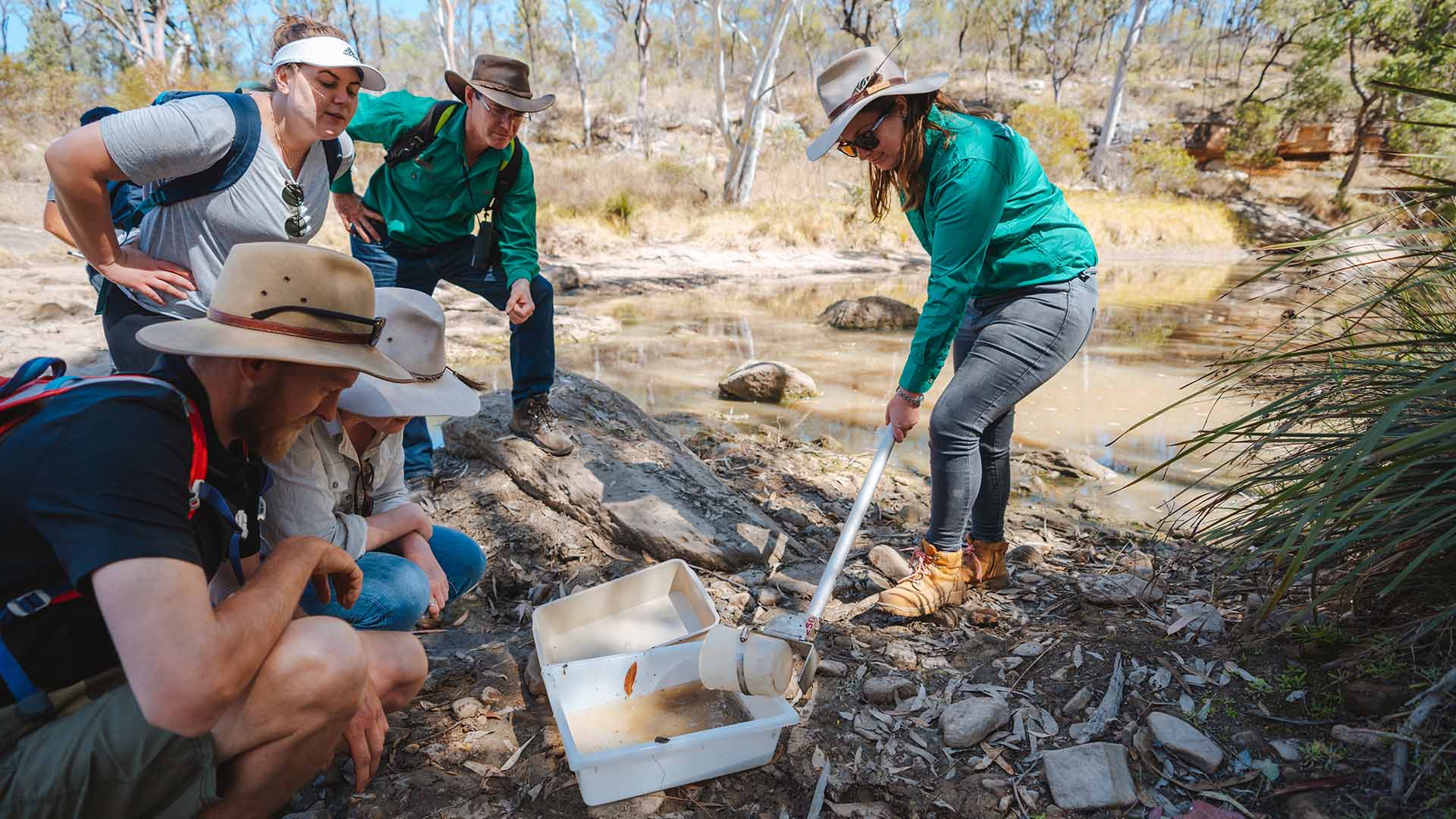 Carnarvons BioBlitz Expedition