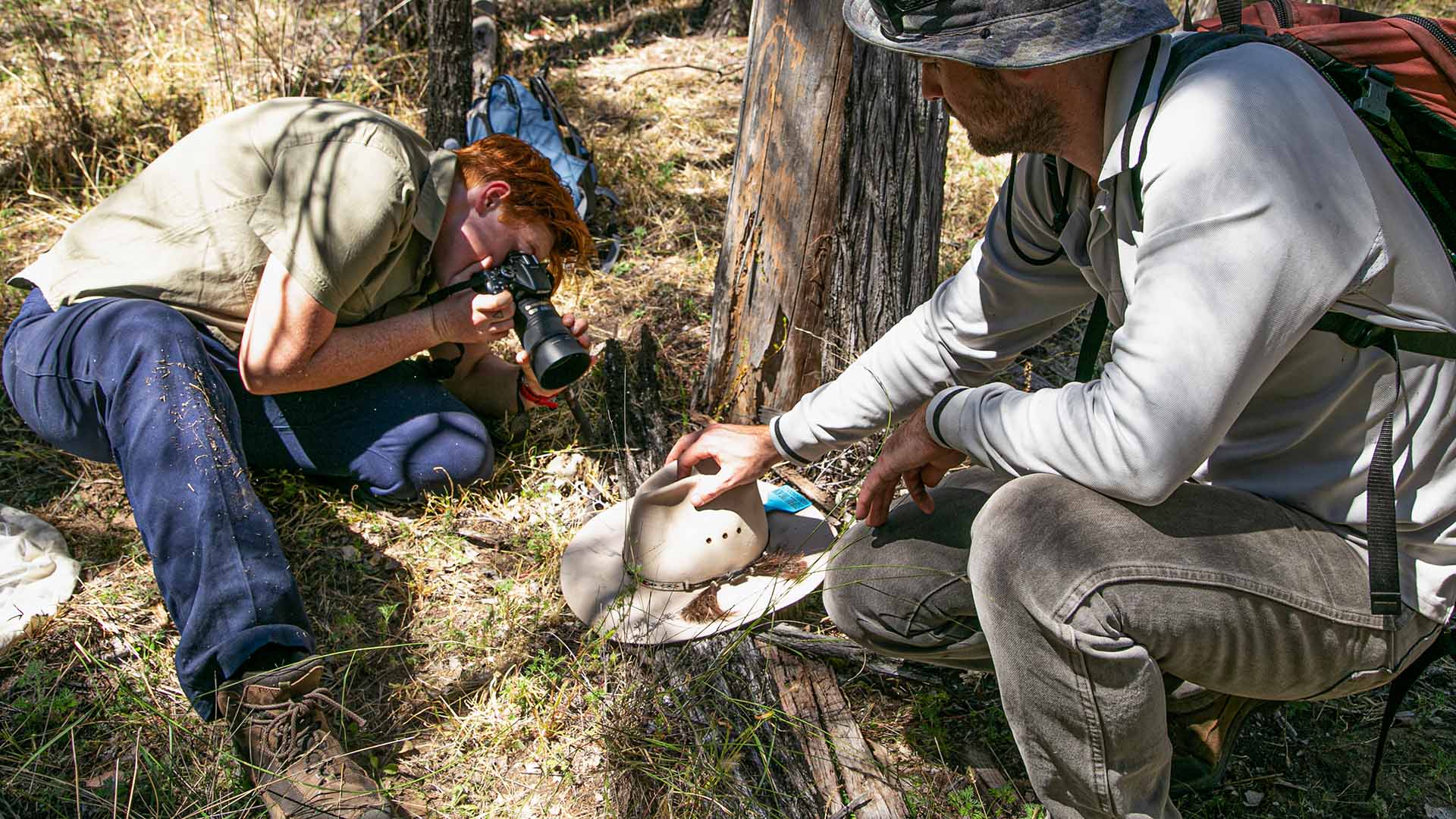 Carnarvons BioBlitz Expedition