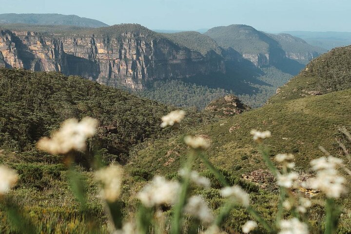 Private Full Day Tour In Blue Mountains