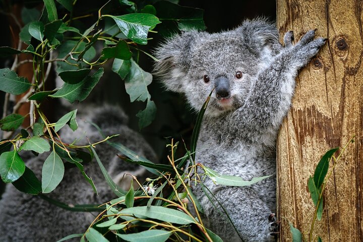 Private Full Day Tour In Blue Mountains