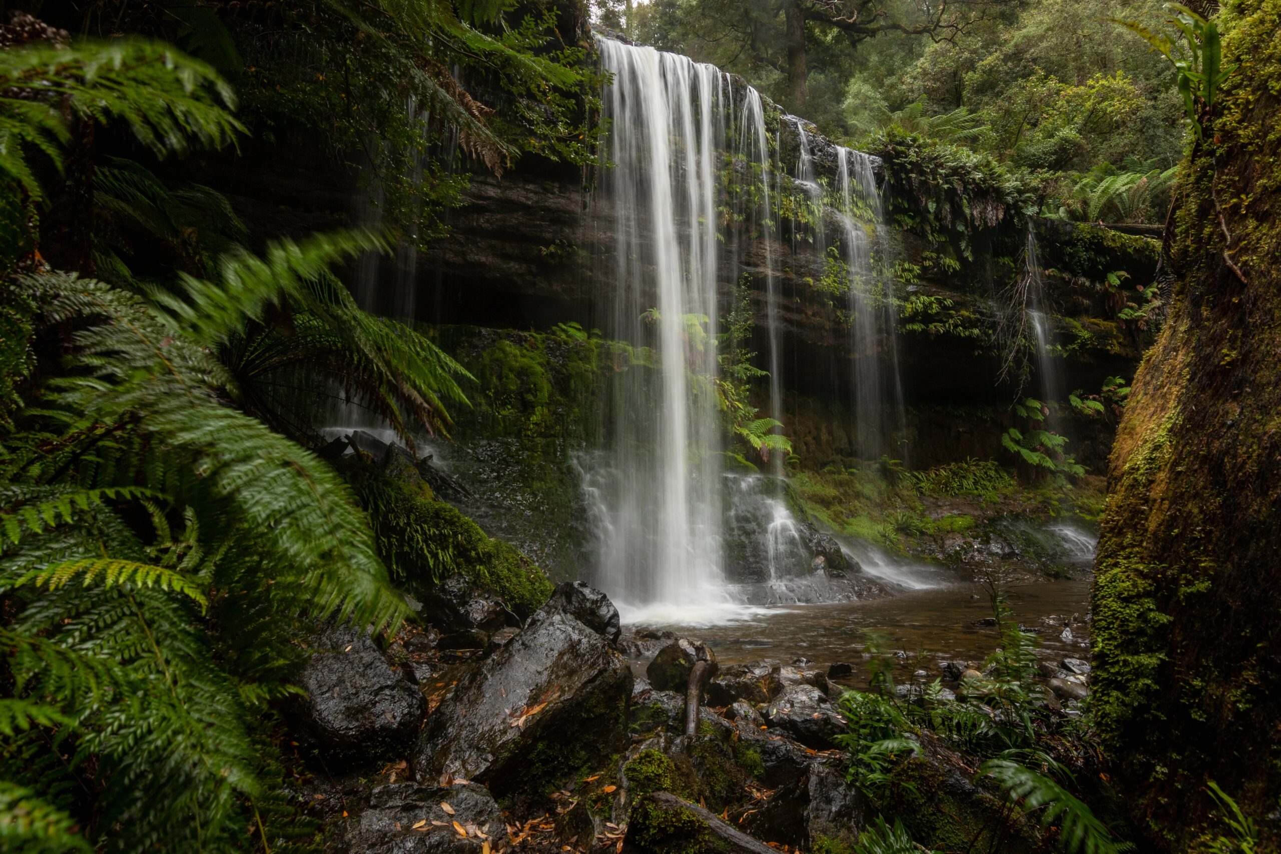 5-day Tasmanian Private tour.