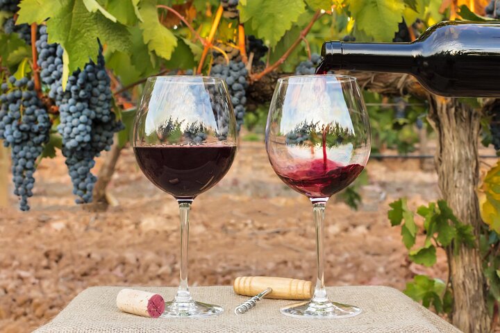 Sip and Savor: Private Yarra Valley Wine Tour from Melbourne