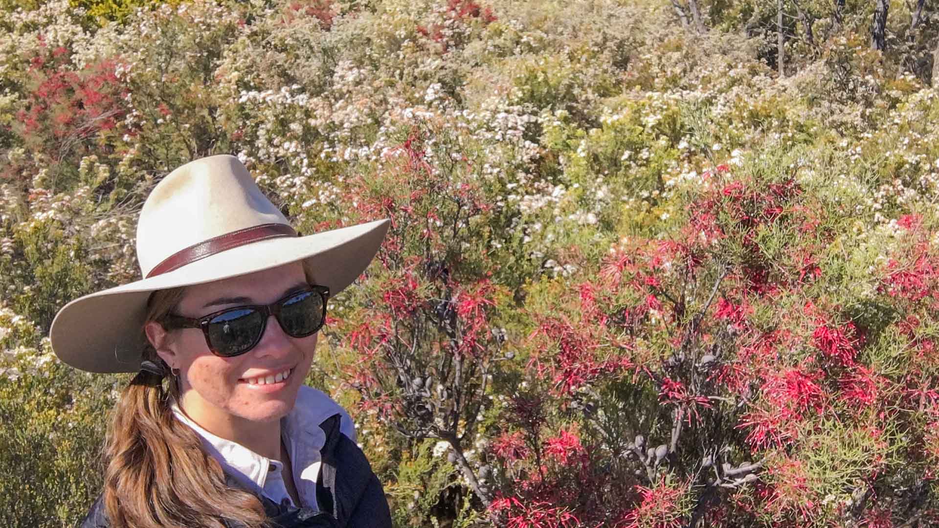 Wildflower Wonderland